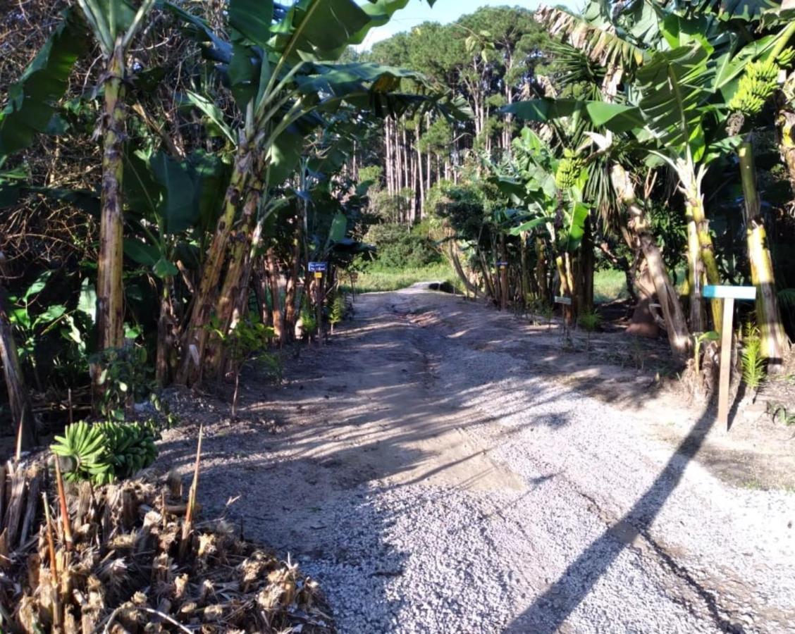 Bangalos Florianópolis Buitenkant foto